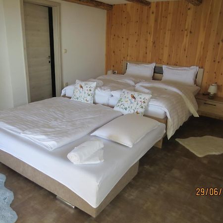 Studio 1111 With Sauna & Hot Tub Dravograd Luaran gambar
