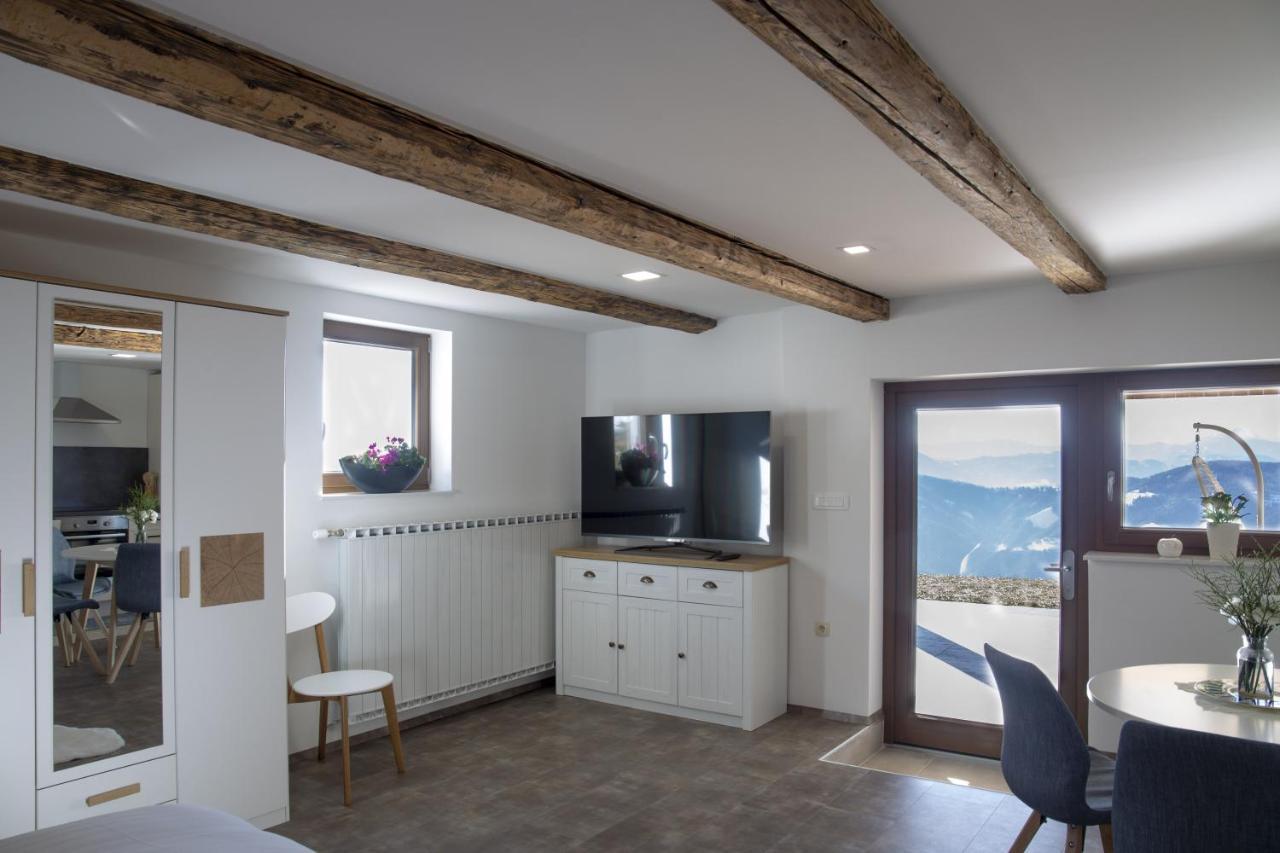 Studio 1111 With Sauna & Hot Tub Dravograd Luaran gambar