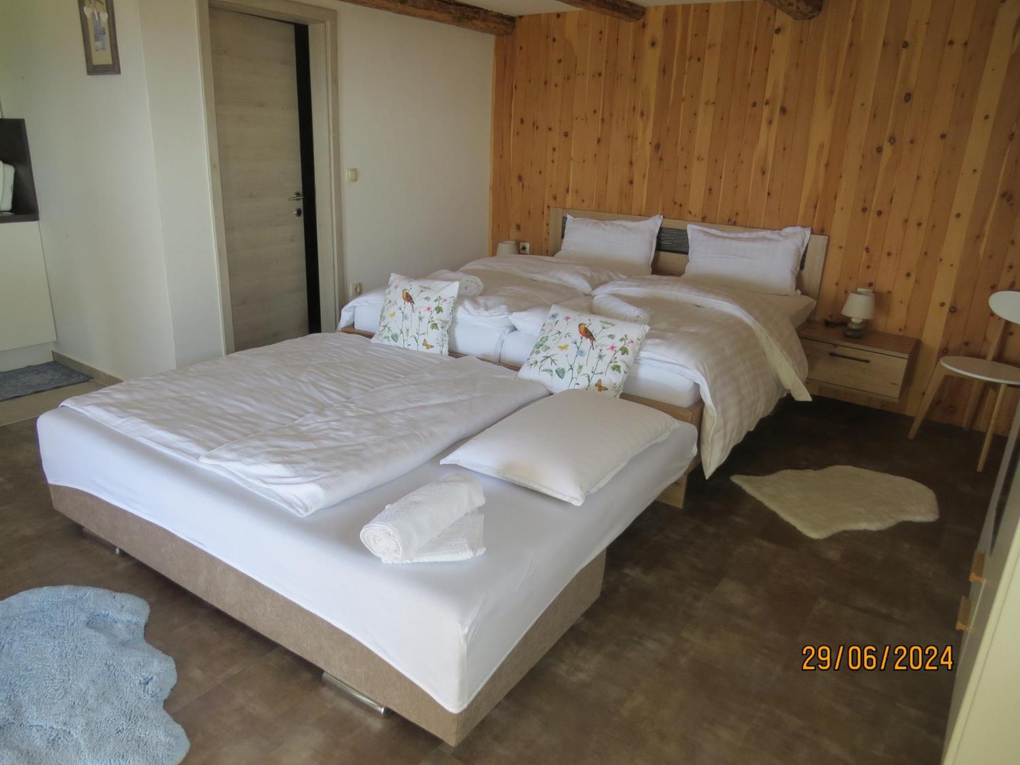 Studio 1111 With Sauna & Hot Tub Dravograd Luaran gambar